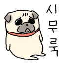 제이엠댄스핏에어로빅