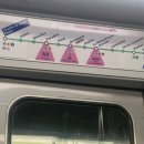 학사원 | 파리 스냅 사진, 마이리얼트립 야경투어 내돈내산 후기