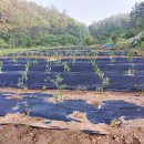 성봉농장 이미지