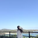 대마도여행 대마도당일치기, 여행특공대 대마도배편 쓰시마링크호 부산국제여객터미널