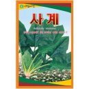 A0307 이미지