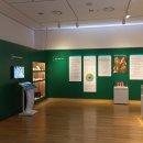 인삼박물관 이미지