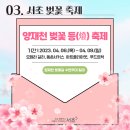 방배로43길 21 이미지