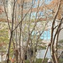 카페051오션시티점 | 해운대 오션뷰 카페 추천 모모스커피 마린시티점 드립커피 후기
