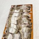이순신광장 | 방송 나온 여수 이순신광장 삼치회 맛집 솔직후기