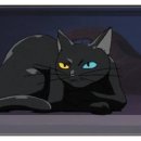 카페 까멜리아 이미지