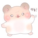 샤인노래방 이미지
