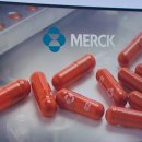 (주)HK컴퍼니 이미지