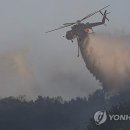 대구서변초등학교조야분교장 이미지