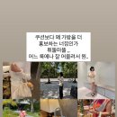 하이츄컴퍼니 이미지