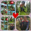 참빛농장 이미지