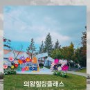 에듀아로마 | 의왕힐링클래스, 3만 시민과 나눈 아로마 향기, 2025의왕에듀어울림축제 후기