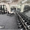 라이크짐 이미지