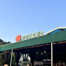 서여주(양평) | 서여주휴게소 맛집 푸드코트 간식 카페 정보 꿀팁