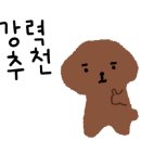 아이몽 애견 유치원 이미지