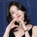 예쁘다 개 이미지