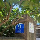 뉴-섬 게스트하우스 이미지