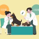 이천동물의료센터 이미지