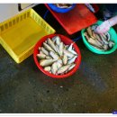 웅포농장 이미지