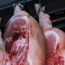 포르투갈: 2025년 생돈 수출은 21.5% 감소했고, 돼지고기 수출은 43% 증가했다. 이미지
