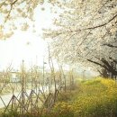 우리봄이네 이미지