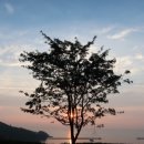 햇님