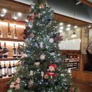 6855 | 분위기 좋은 코지하우스 의정부 직영점 무난했던 첫방문 후기(SoSo)