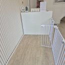 뽀송하댕 이미지