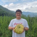 주식회사 이음새 농업회사법인 - 사천시 | 주식회사 이음새 농업회사법인