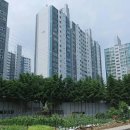 수지로113번길 Daum카페