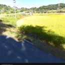 생명나무공인중개사사무소 이미지