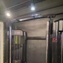 골드짐 PT 헬스 재활 다이어트 부평부개 GYM | 부평 헬스장 벨라핏을 가야하는 이유