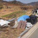 야로면사무소 이미지