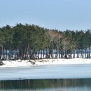 바닷가작은숲 이미지