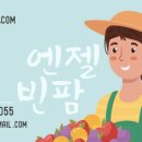 엔젤빈팜