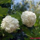 풍경(오월의 이야기 이미지