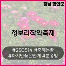 GS25함안칠서점 | 250514 경남 함안군 칠서 단 3일만 열린 청보리 작약축제 끝나고 방문한 후기