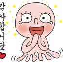 어반클래식 이미지