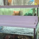 중랑역 | 중랑역 칼국수 맛집 동해통문어칼국수 중랑역점 식사 후기 | 중화동칼국수맛집 해물칼국수