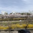 일층카페바 네이버블로그