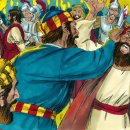 (주)가야바이오 이미지