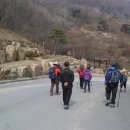 등산동호회 제천 금수산 등반 및 청풍문화재단지 벚꽃 구경(2014.04.07) 이미지