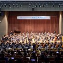 뽀꼬뽀꼬 이미지