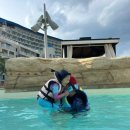 한화오션(주)D안벽식당 | 삼척 쏠비치 리조트1박 취사 가능한 스위트룸