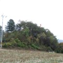 청일파출소 이미지