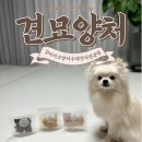 견묘양처 | 강아지 수제간식 ㅣ 변려견이 너무 잘 먹는 견묘양처 후기