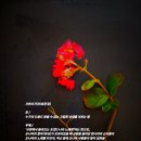 사면초가 이미지