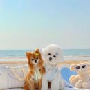 (주)오렌지여행 이미지