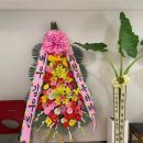콩콩팥팥 5화 줄거리 후기 김우빈 한약 친구 한의사...백동주 김기방 하남 영수농원 이광수 당근 사기...