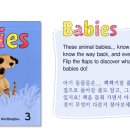 카페새싹 이미지